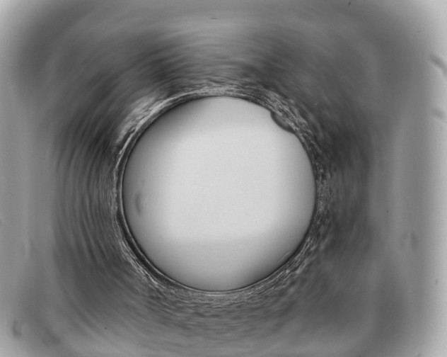 X0000091590002200708201002