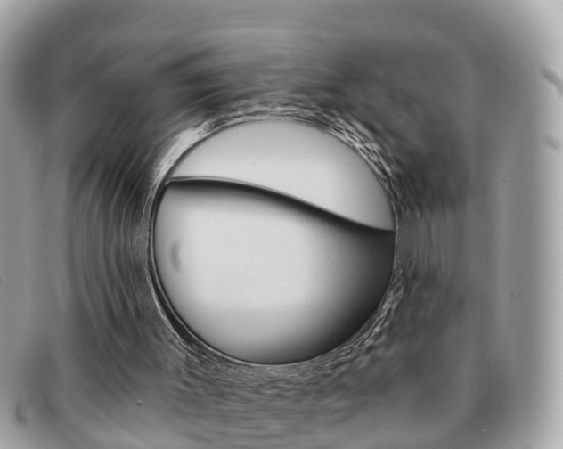X0000091590003200708201002