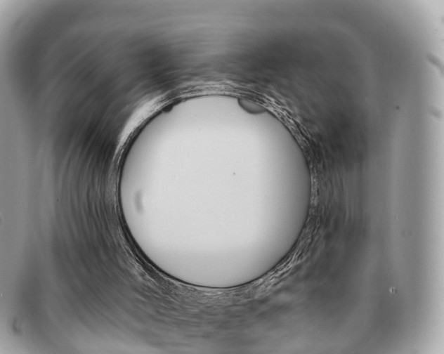 X0000091590004200708201002