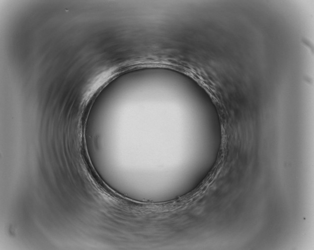 X0000091590005200708201002