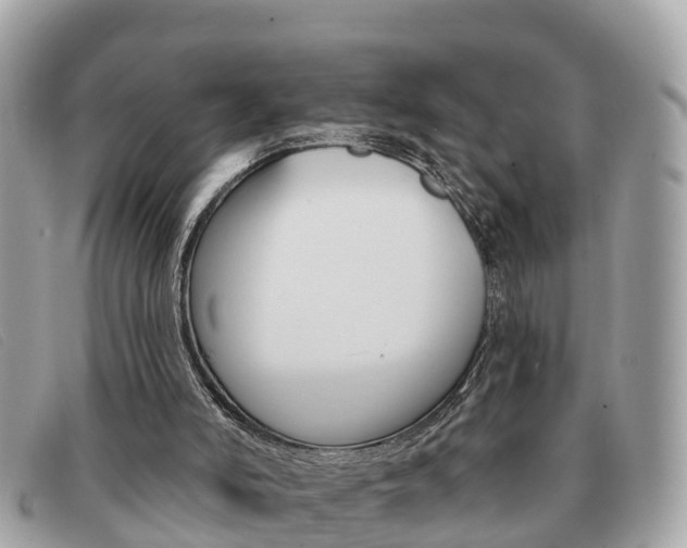 X0000091590006200708201002