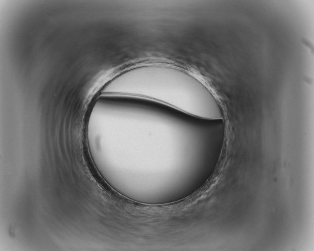 X0000091590007200708201002
