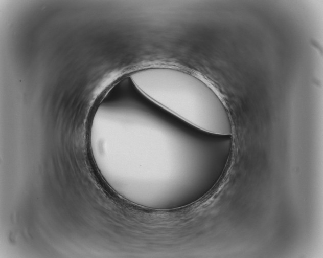 X0000091590008200708201002