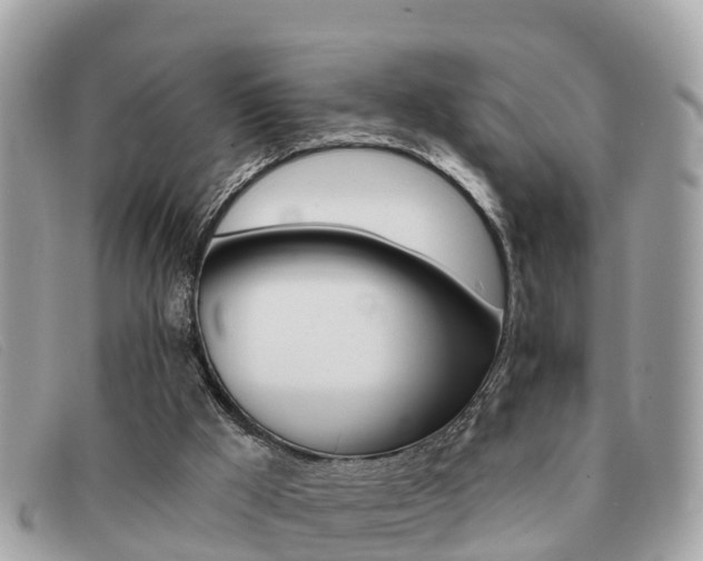 X0000091590009200708201002
