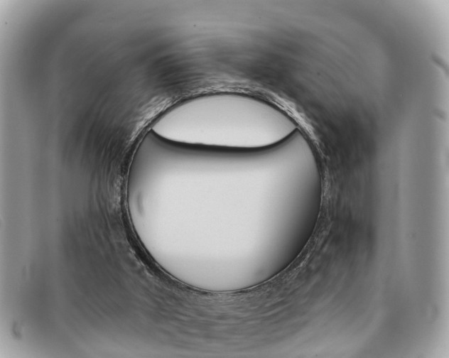 X0000091590010200708201002