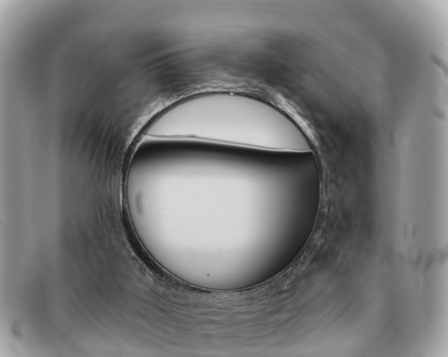 X0000091590011200708201002