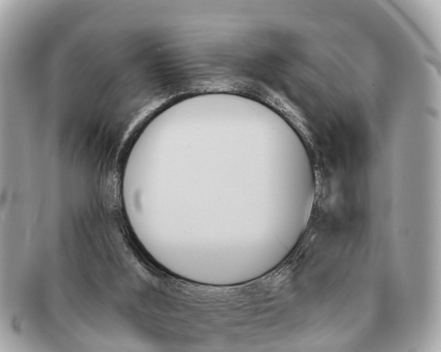 X0000091590012200708201002