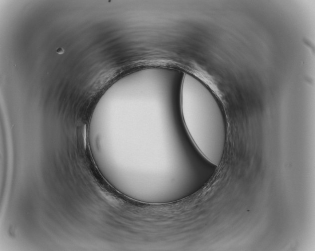 X0000091590013200708201002