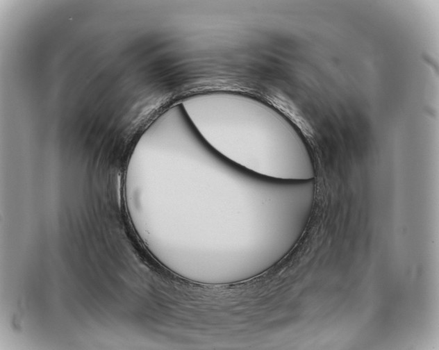 X0000091590014200708201002