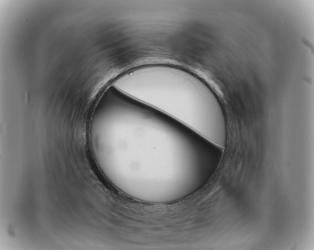 X0000091590015200708201002
