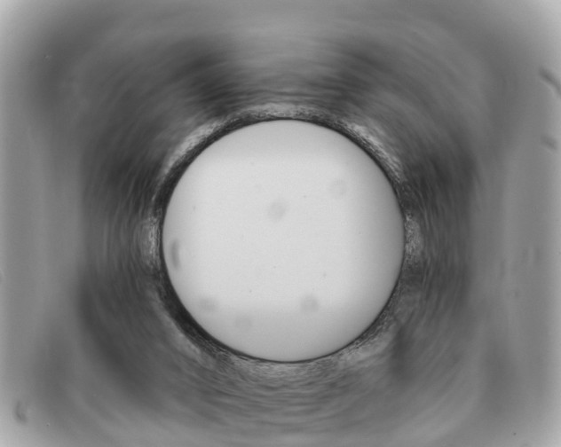 X0000091590016200708201002