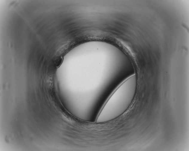 X0000091590017200708201002