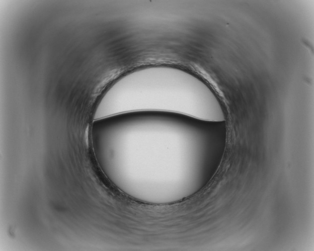 X0000091590019200708201002