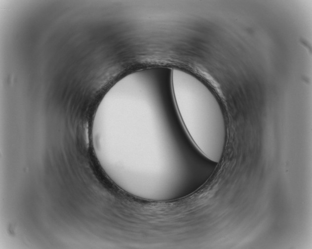 X0000091590020200708201002