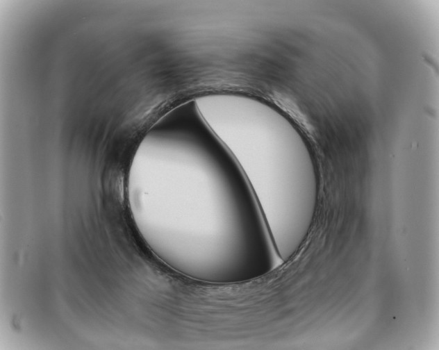 X0000091590021200708201002