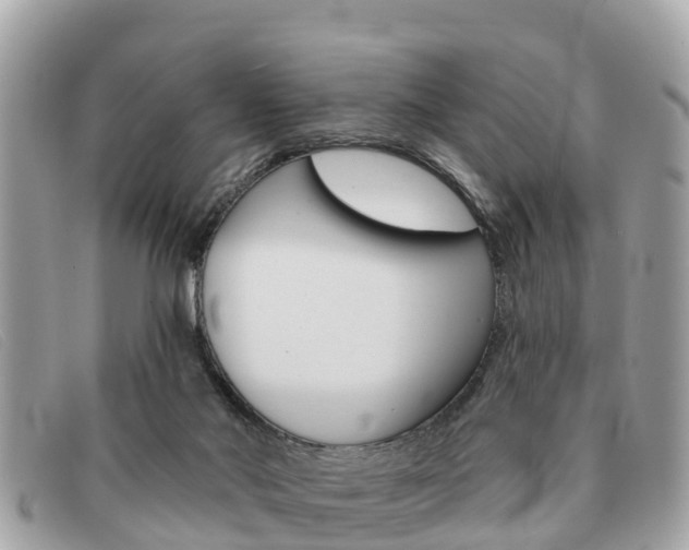 X0000091590022200708201002
