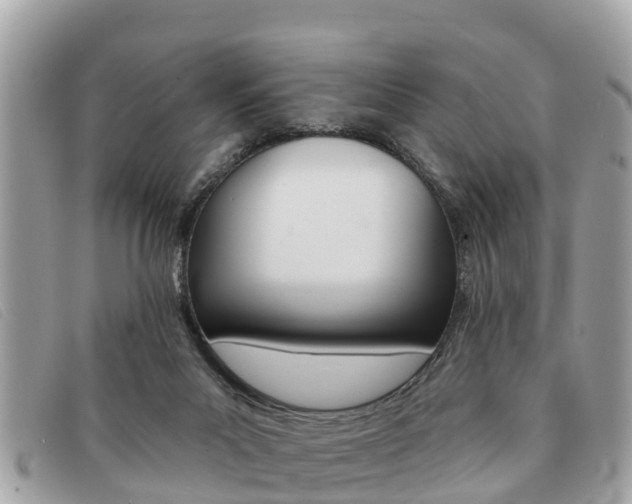 X0000091590023200708201002