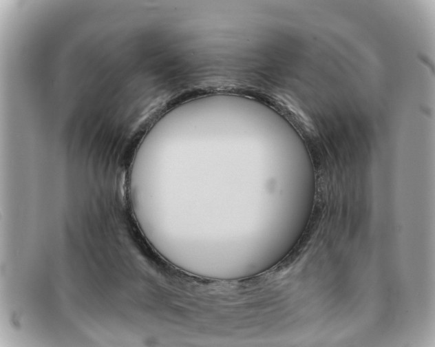X0000091590024200708201002