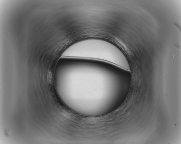 X0000091590025200708201002