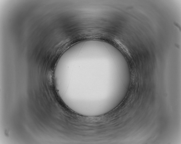 X0000091590026200708201002