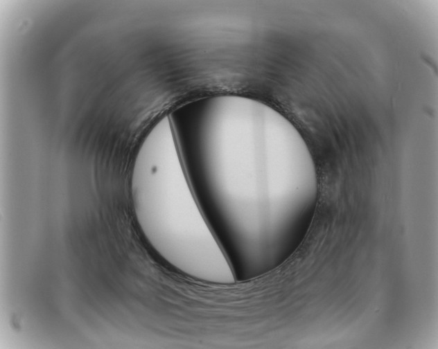 X0000091590027200708201002