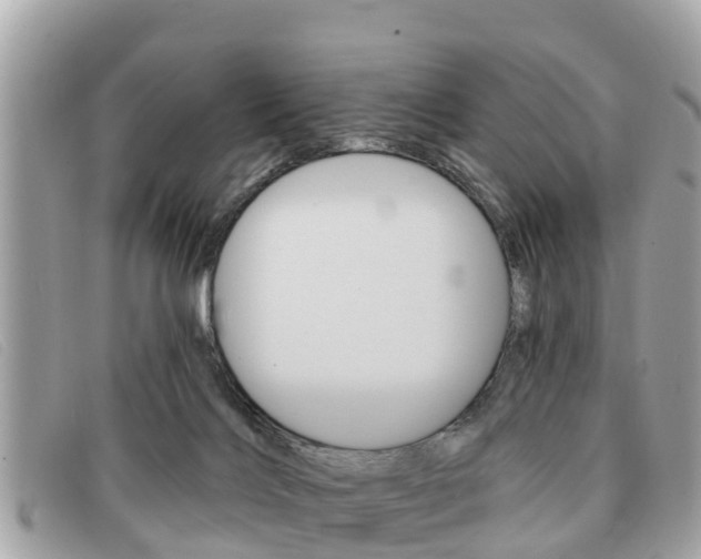 X0000091590028200708201002