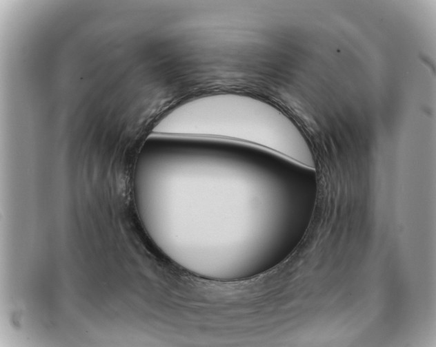 X0000091590031200708201002
