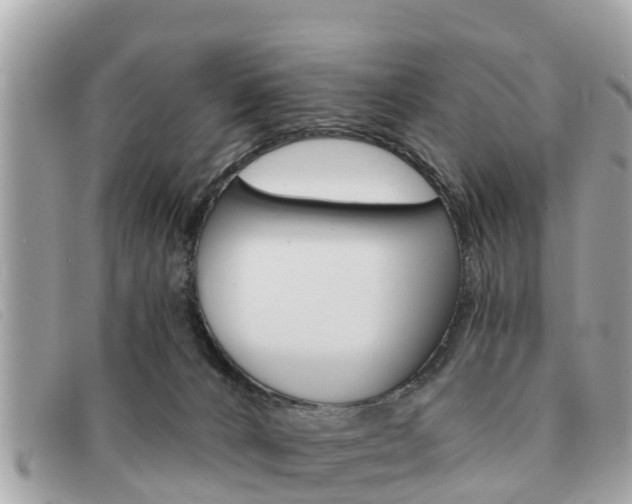 X0000091590032200708201002