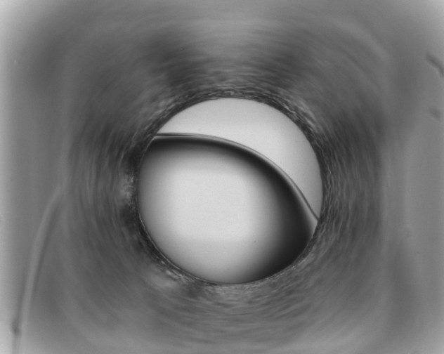 X0000091590033200708201002