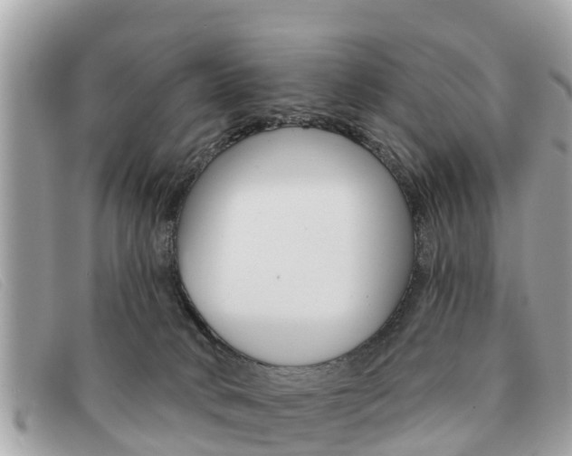 X0000091590034200708201002