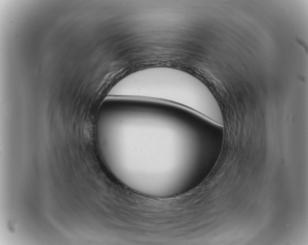 X0000091590035200708201002