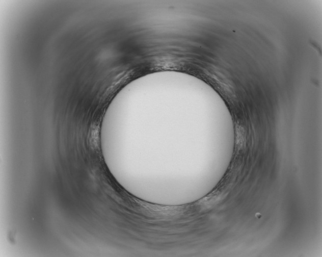 X0000091590036200708201002