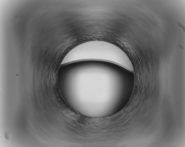 X0000091590037200708201002