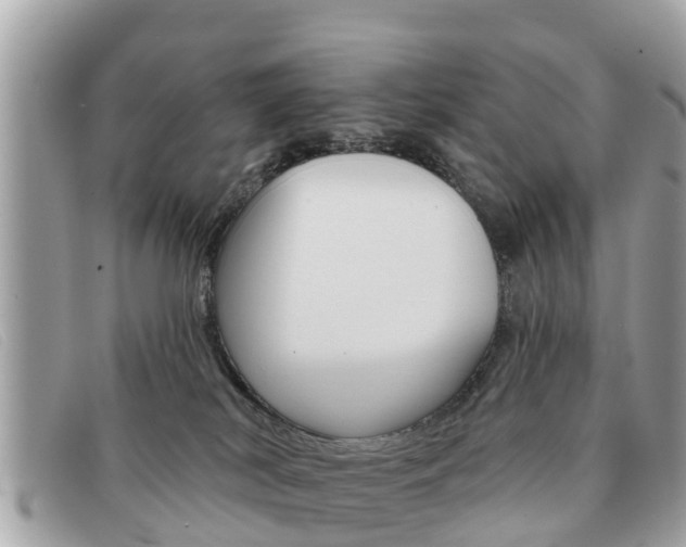 X0000091590038200708201002