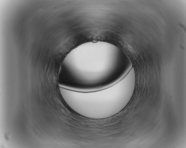 X0000091590039200708201002