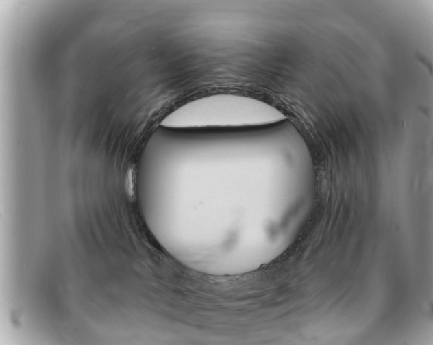 X0000091590042200708201002