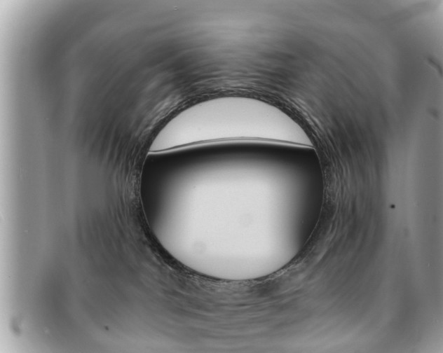 X0000091590044200708201002