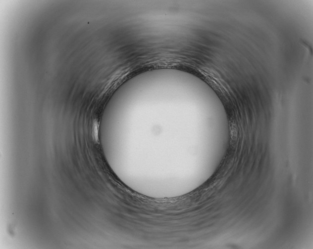 X0000091590046200708201002