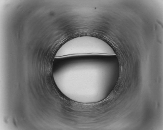 X0000091590048200708201002