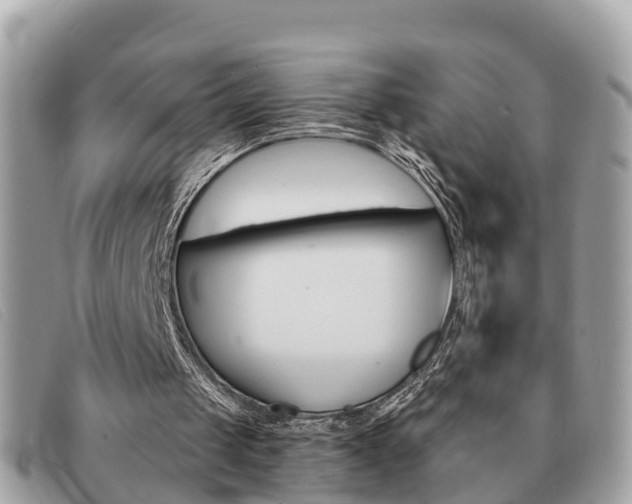X0000091590049200708201001