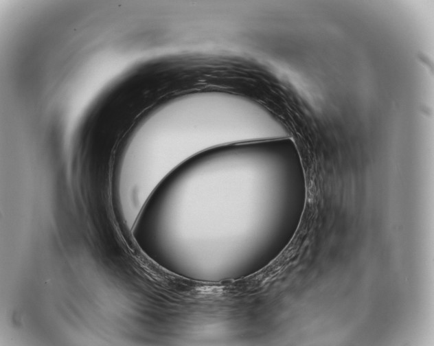 X0000091590052200708201001