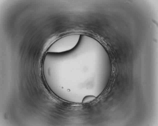 X0000091590053200708201001