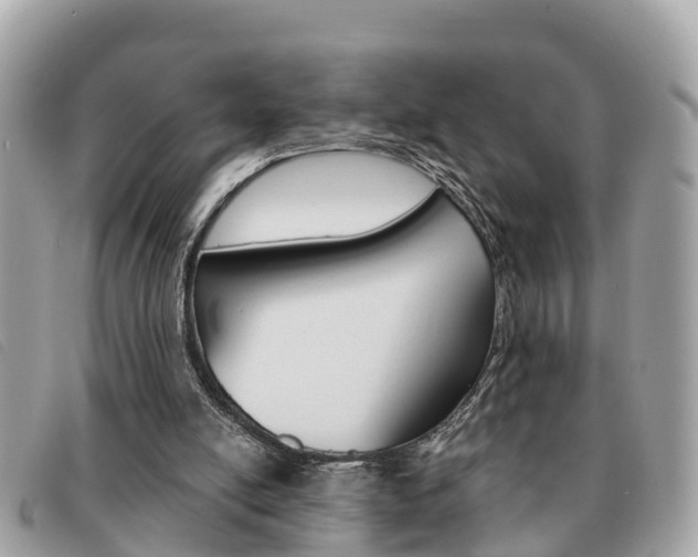 X0000091590054200708201001