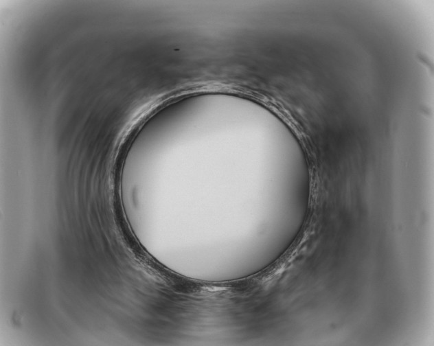 X0000091590055200708201001