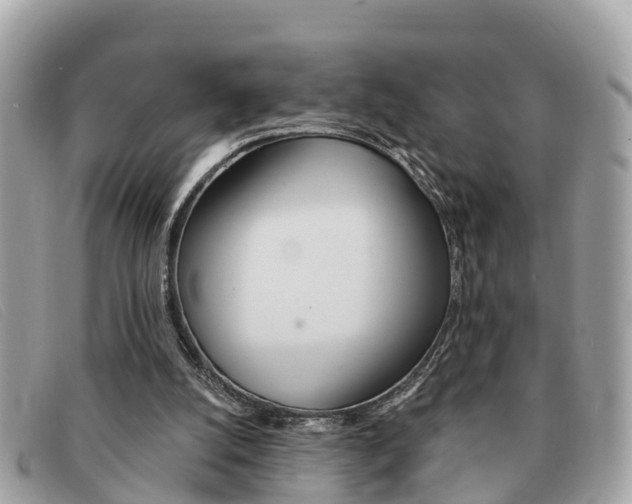 X0000091590056200708201001