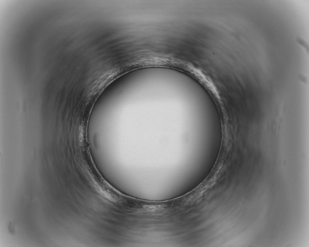X0000091590057200708201001
