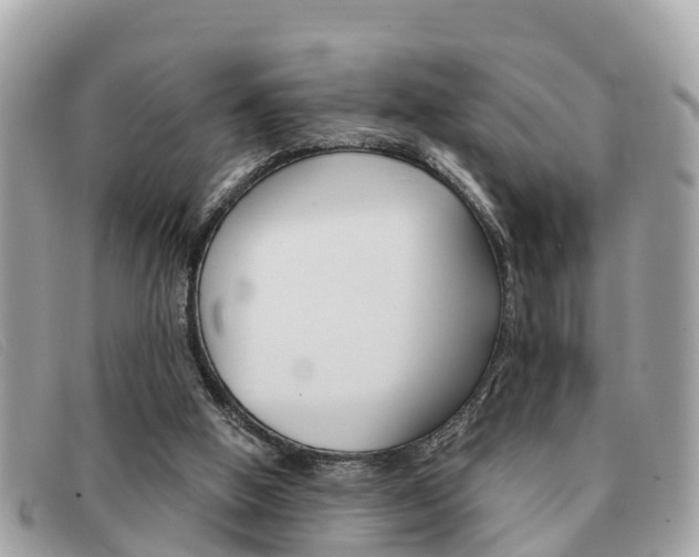 X0000091590058200708201001
