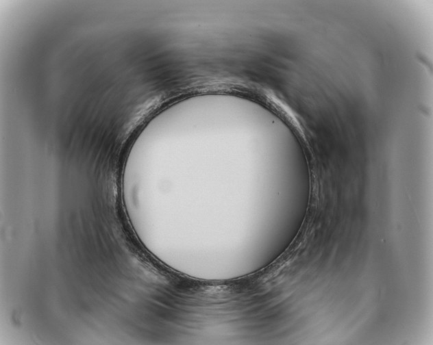 X0000091590059200708201001