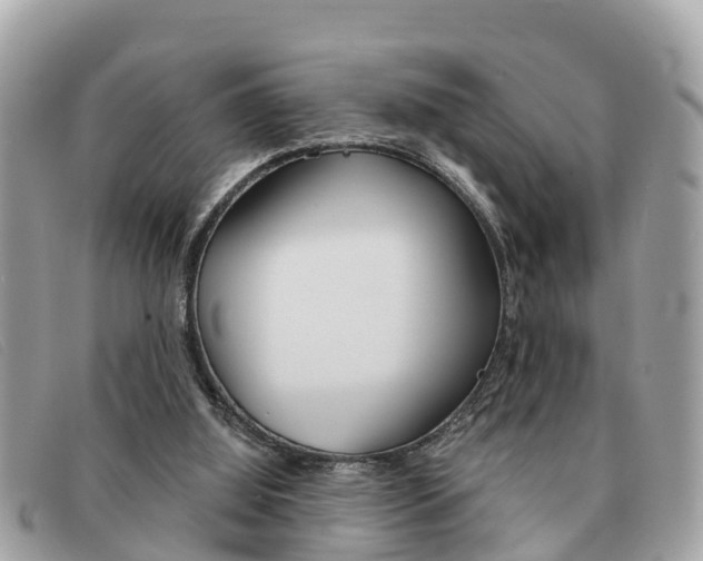 X0000091590060200708201001
