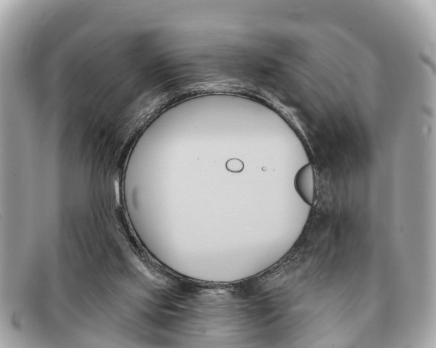 X0000091590061200708201001